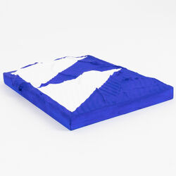 White Flag (Memories Circa Spring 2012)