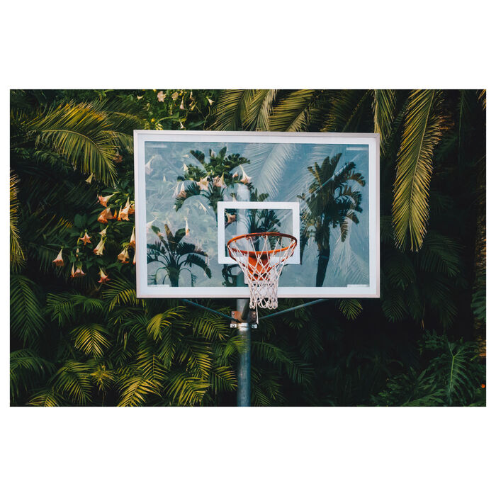 Print #4- 12 x 15"