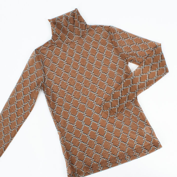 Dries Van Noten Hind Sheer Turtleneck