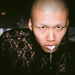 Momo Photograph - 24x36