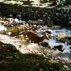 Kyoto Photograph - 20x30