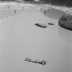 'Interpretation of Dreams'