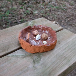 Rock Dish 1