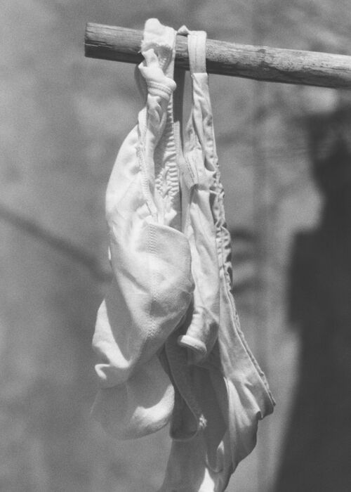 'White Cotton Panty'