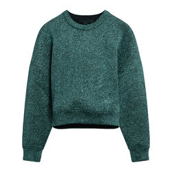 Alexander Wang Sparkle Knit Cropped Sweater