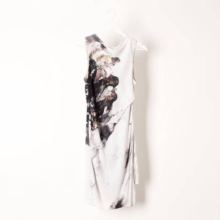 Helmut Lang Carrion Print Crepe Dress