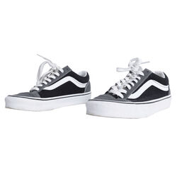 Vans Seldan Skate Shoes - Grey