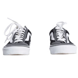 Vans Seldan Skate Shoes - Grey