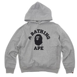 Swaro Eyes College Logo Pullover Hoodie grey