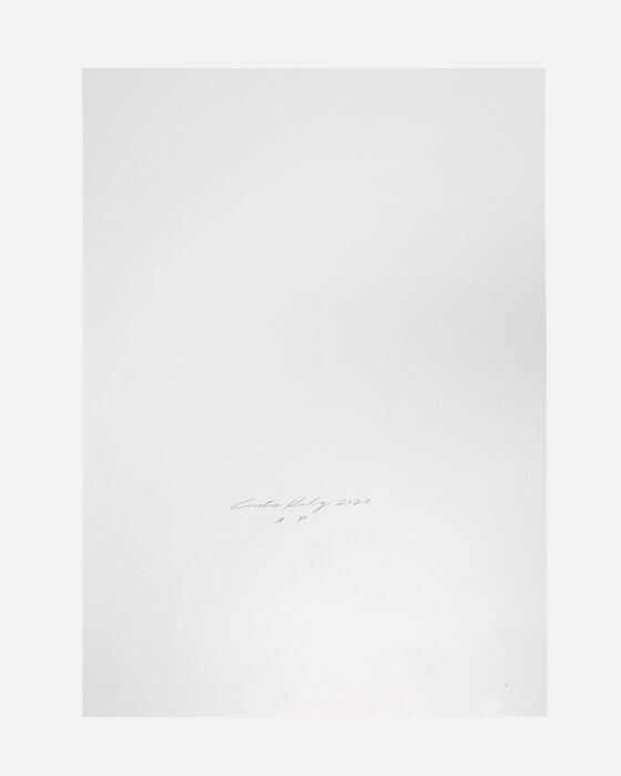 Joyed and Overwhelmed Print