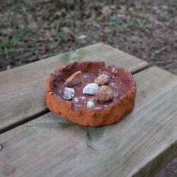 Rock Dish 1