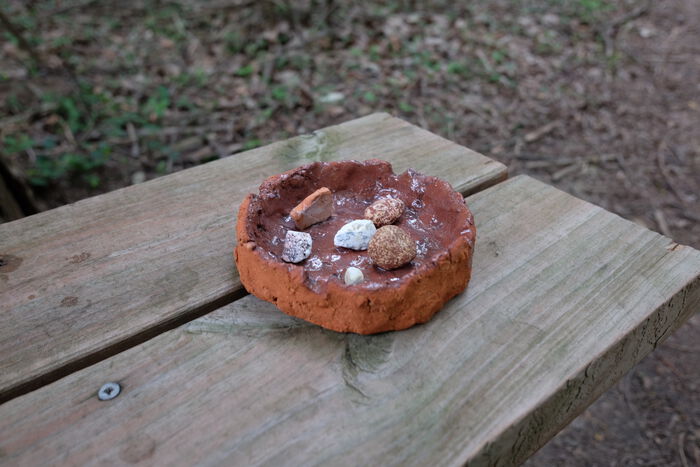 Rock Dish 1