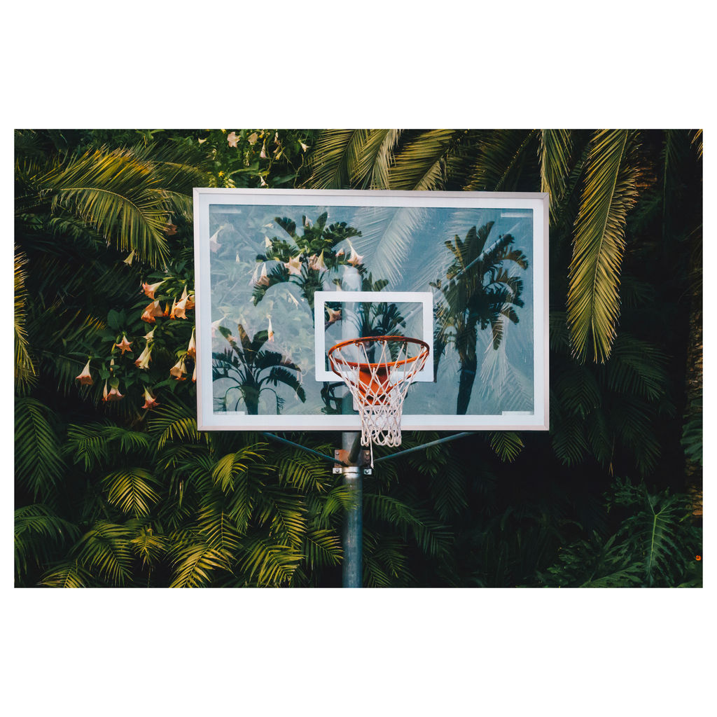 Print #4- 12 x 15"