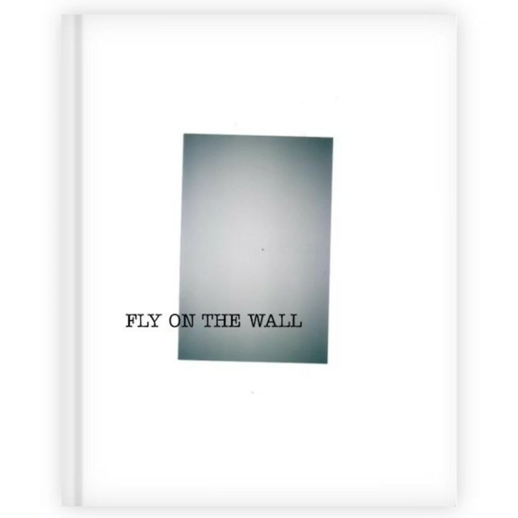 Fly on the Wall - Zine