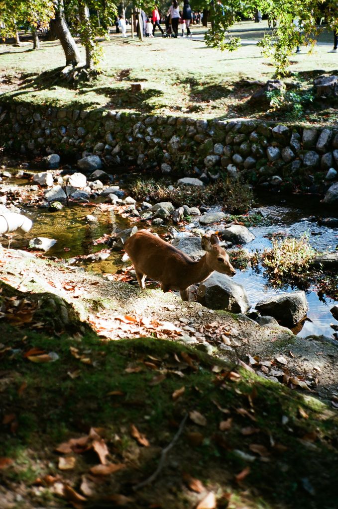 Kyoto Photograph - 20x30