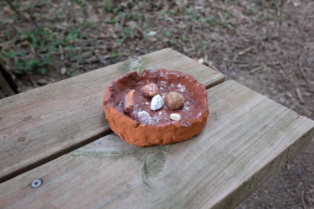 Rock Dish 1