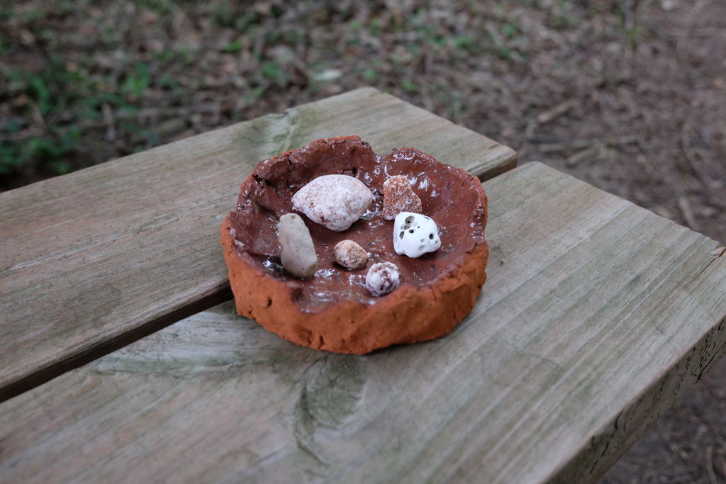 Rock Dish 2
